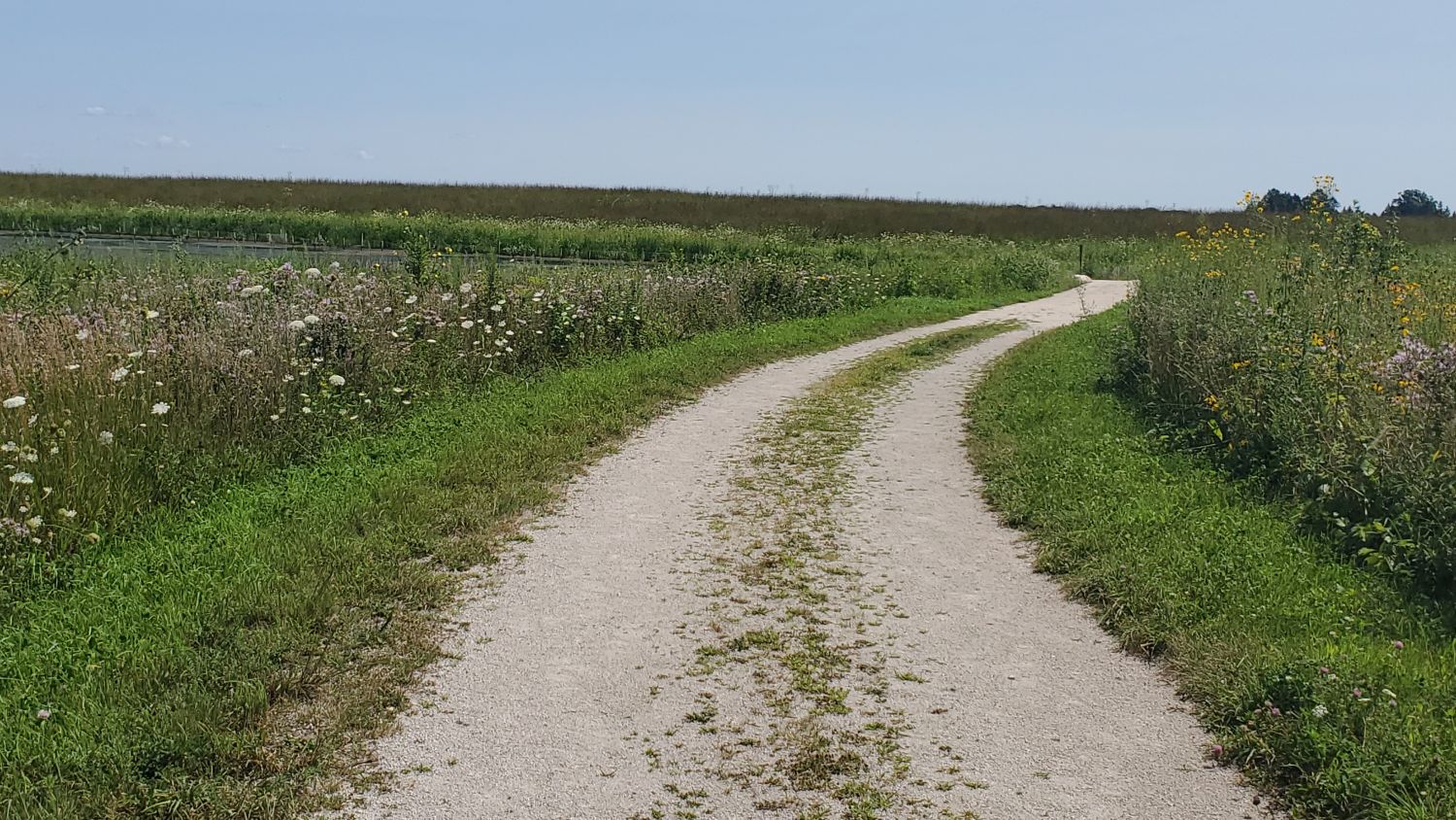 Muirhead Forest Preserve 